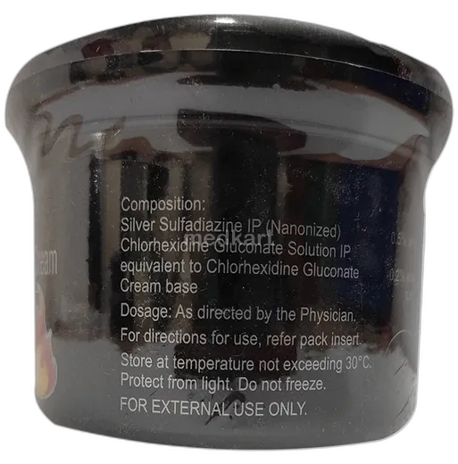 silverex ssd cream 240 gm